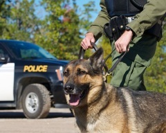 У поліцейській операції вперше була задіяна собака