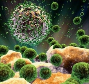 Toate bolile datorate infecțiilor - un portal modern despre HIV