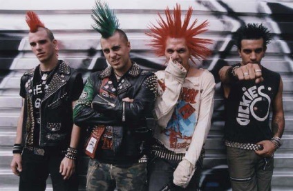 Hardcore punk ca un fel de rock, site-ul fan al trupei punk - gazon