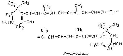 Хімічний склад яйця - все про технології м'яса і м'ясних продуктів