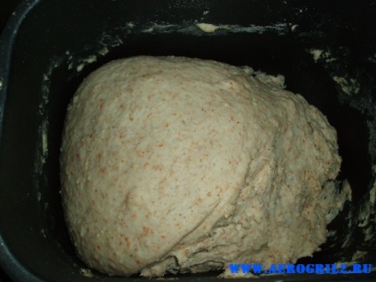 Pâine de 5 cereale - o rețetă pentru gătit într-un producător de paine