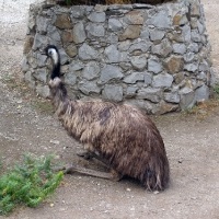 Yalta Zoo - un basm