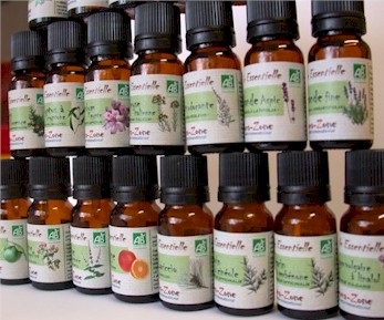 Rendelés aromazon (aroma-zóna) - oktatás, részvétel a közös vállalat, aromaterápia
