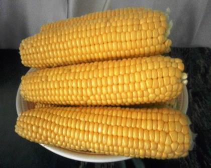 Замороження кукурудзи на зиму в домашніх умовах, покрокові фото