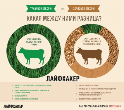 Îngrășare de grâu vs îngrășare pe bază de plante tot ce trebuie să știți despre carnea 