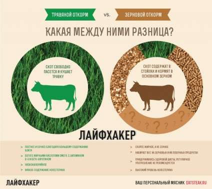 Зернова відгодівля vs трав'яний відгодівлю все, що потрібно знати про «старому» і «новому» м'ясі