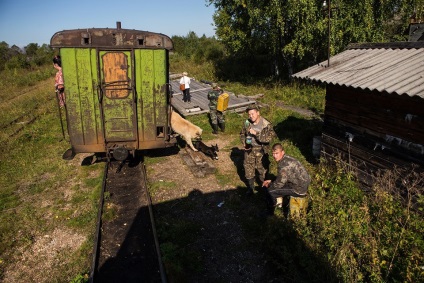 Жорстка життя трьох російських селищ біля Плесецка