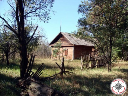 Златни монети в градината