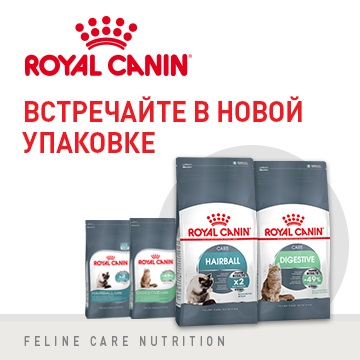 Magazin de animale de companie din Novosibirsk