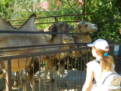 Gradina zoologica din basmul Yaltei