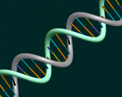 11 смачних послідовностей ДНК - екологічний дайджест