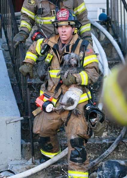 15 Pompierii își riscă viața pentru a salva animalele, vmzh