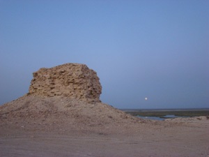 Aral-tenger
