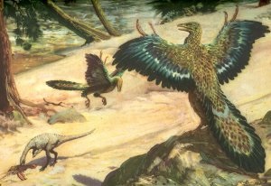 Archaeopteryx lehet egy éjszakai állat