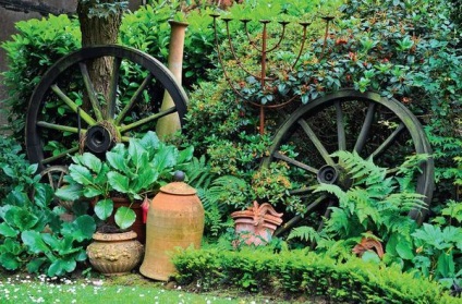 Бадан в вашому саду види, посадка і догляд
