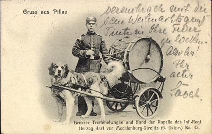 Câini de cântar, carte poștală din Prusia de est