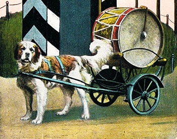 Câini de cântar, carte poștală din Prusia de est