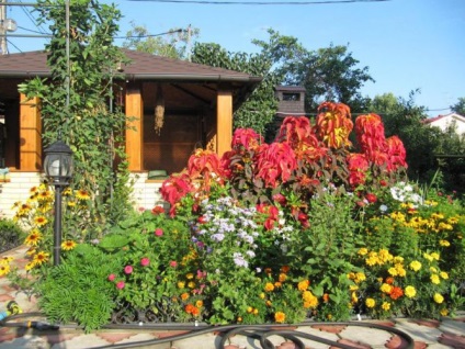 Arbor în grădină - сн аксаец