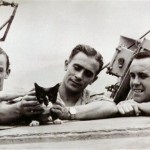 Борис гребенщиков, кішка моря і кішка вітру - кототека - найцікавіше про світ кішок