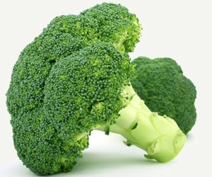 Broccoli - proprietăți utile și conținut caloric, supă de broccoli
