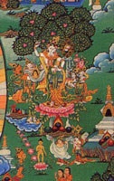 Buddha Shakyamuni