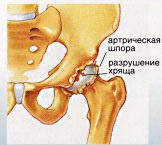 Centrul de Traumatologie și Ortopedie - Nr. 41