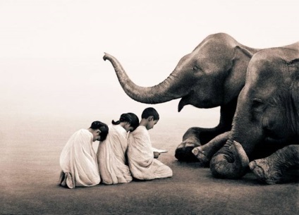 Omul și elefantul, așa cum suntem deja împreună, misterele și misterele istoriei