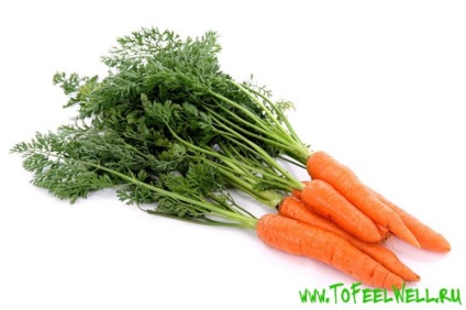 Чим корисна бадилля моркви
