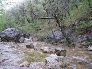 Black River tól Z-ig, egy leírást, hogyan lehet egy ... (fekete) Black River tól Z-ig, egy leírást, hogyan lehet a ...