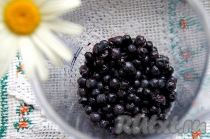 Blueberry mousse - recept fotó (fotók) Blueberry mousse - a recept egy fotó