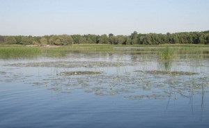 Читання водойми, спінінг forever