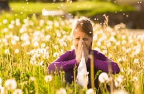 Що робити якщо у дитини алергія на тополиний пух