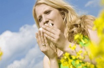 Що робити якщо у дитини алергія на тополиний пух