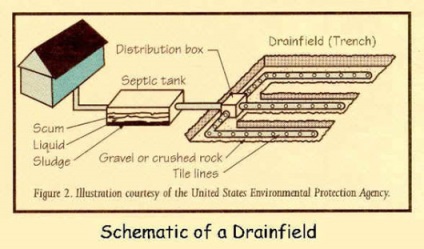 Какво може да се източи в септична яма