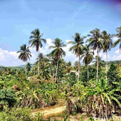 Ce să vizitați și să vedeți pe Krabi în Thailanda