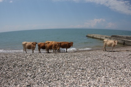 Ce se întâmplă în Abhazia, unde a fost ucis turistul rus