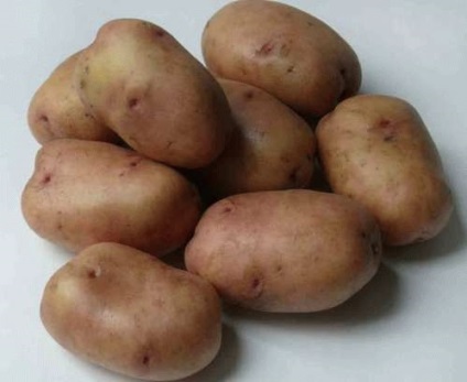 Cорт картоплі фото і опис, люблю свій сад