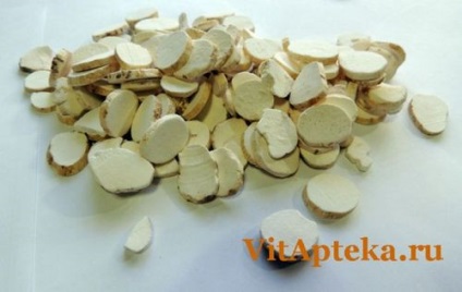 Wild Yam kaukázusi alkalmazás és ellenjavallatok, tulajdonságok és alkalmazások (alkalmazás) Wild yam kaukázusi alkalmazására és ellenjavallatok, Properties and Applications