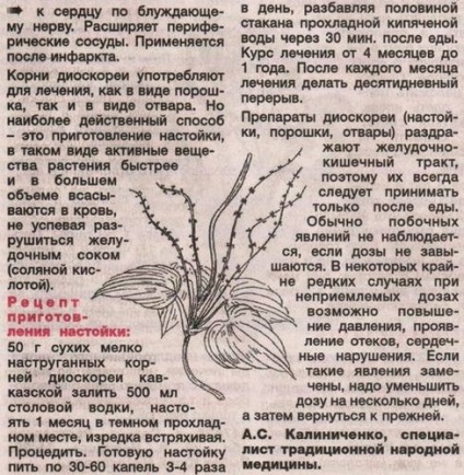 Wild yam kaukázusi alkalmazására és ellenjavallatok, Properties and Applications (contra) Wild yam kaukázusi alkalmazására és ellenjavallatok, Properties and Applications