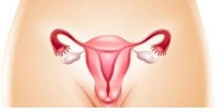 Simptome, cauze și tratament al disfuncției ovariene
