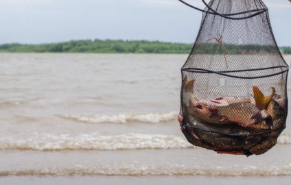 Rezervorul Dmitrov (Orenburg) - pescuitul și odihna în orice moment al anului