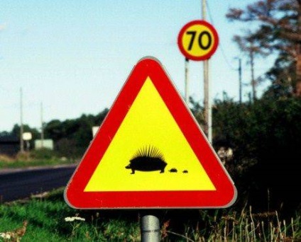 Közúti jelzések humor