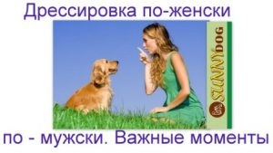 Instruire în mod feminin și masculin (plan pas cu pas clar) Antrenament ca o femeie și un bărbat
