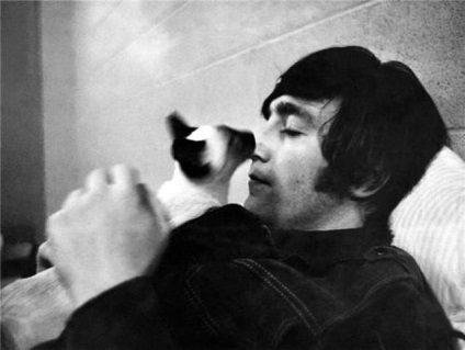 Közösségi Cat tenyésztők catpage - John Lennon és a macskáját