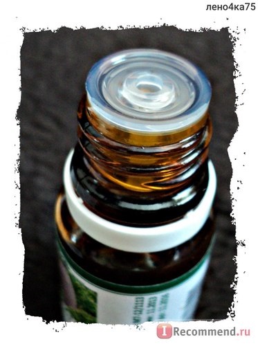 Ефірна олія аспера ялиця сибірська - «масло ялиці таке поширене і так мало про нього ми знаємо
