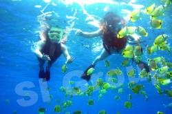 Excursii în snorkeling Phuket în Phuket