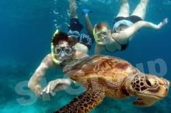 Excursii în snorkeling Phuket în Phuket