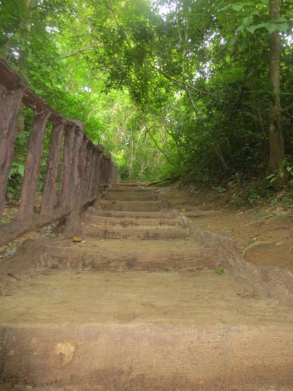 Excursie la râu în iunie 2013