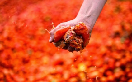 La tomatina festival