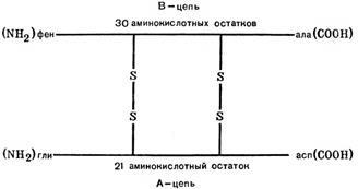 Гормони, що регулюють обмін білків, жирів, вуглеводів